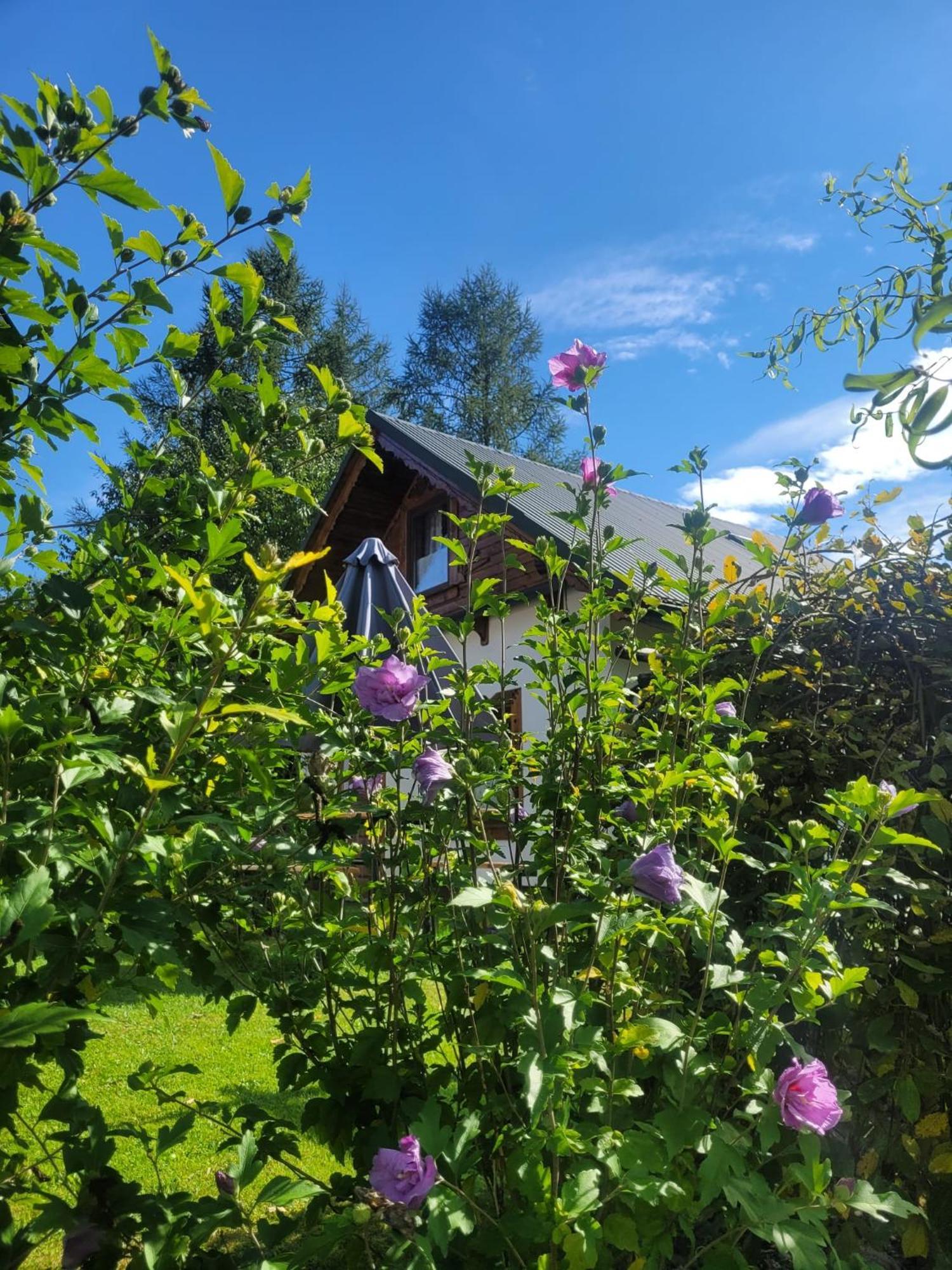 Na Szlaku - Domki Do Wynajecia Rabka-Zdrój Esterno foto